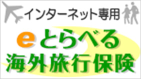 インターネット専用 あいおいニッセイ同和損保「eとらべる」